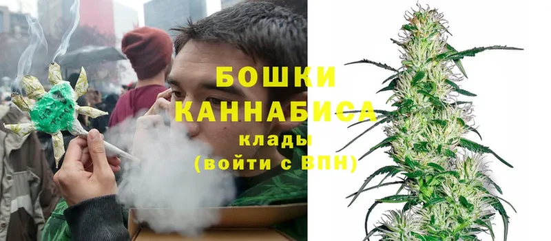 Бошки марихуана OG Kush  Вихоревка 